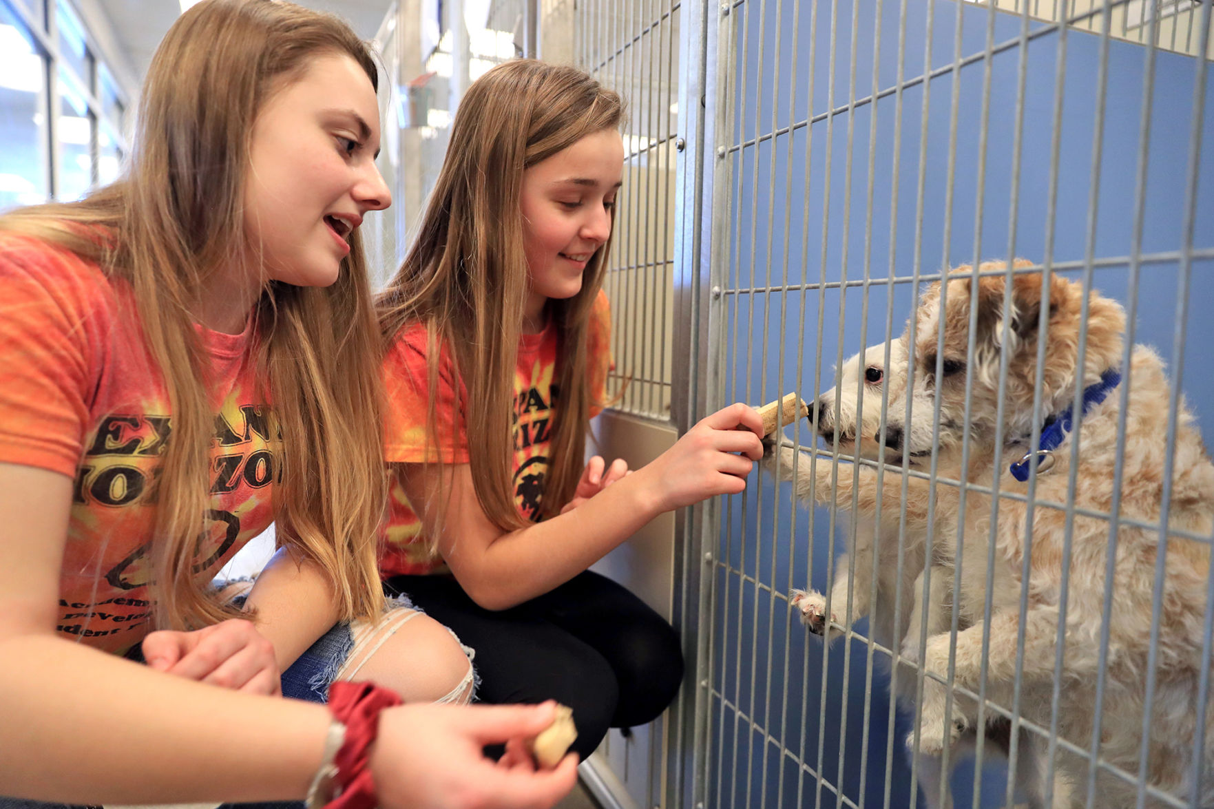 Midlands Humane Society